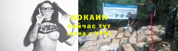 спиды Зеленокумск