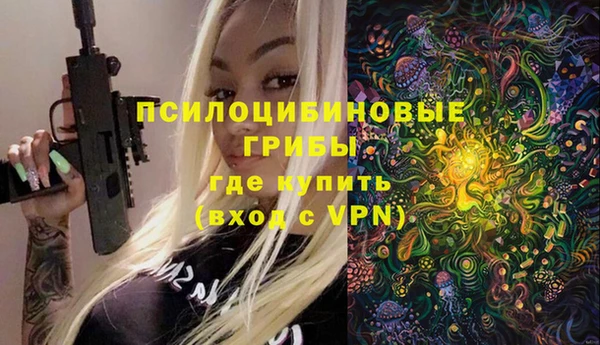 спиды Зеленокумск