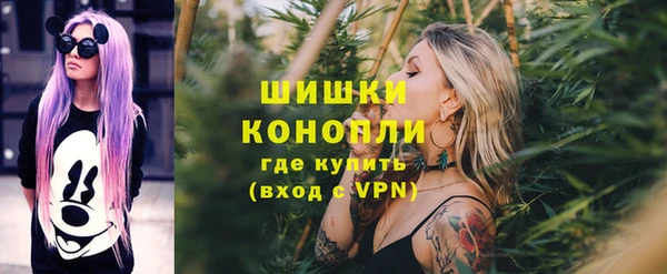 спиды Зеленокумск