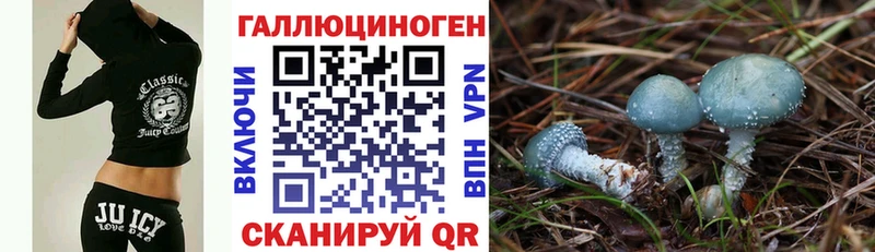 даркнет какой сайт Пролетарск Псилоцибиновые грибы мицелий